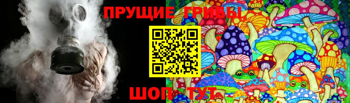 Псилоцибиновые грибы ЛСД  Вход с VPN  Сердобск  Псилоцибиновые грибы Psilocybine cubensis 